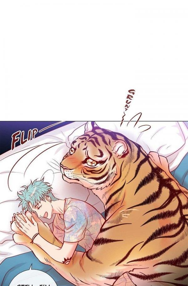 Тигр в его глазах арты. Манга tigers den. Тайгер маск. Манга искусство укрощения тигра. Тигр из манги.