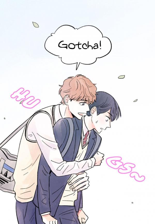 Butterflies (3) BL photo 23120302 Mangago