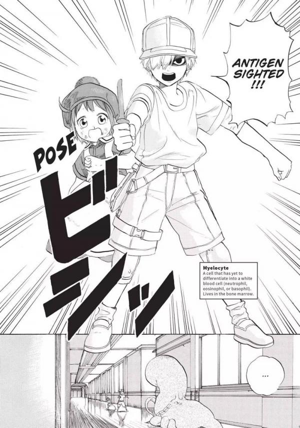 All photos about Hataraku Saibou page 5 - Mangago