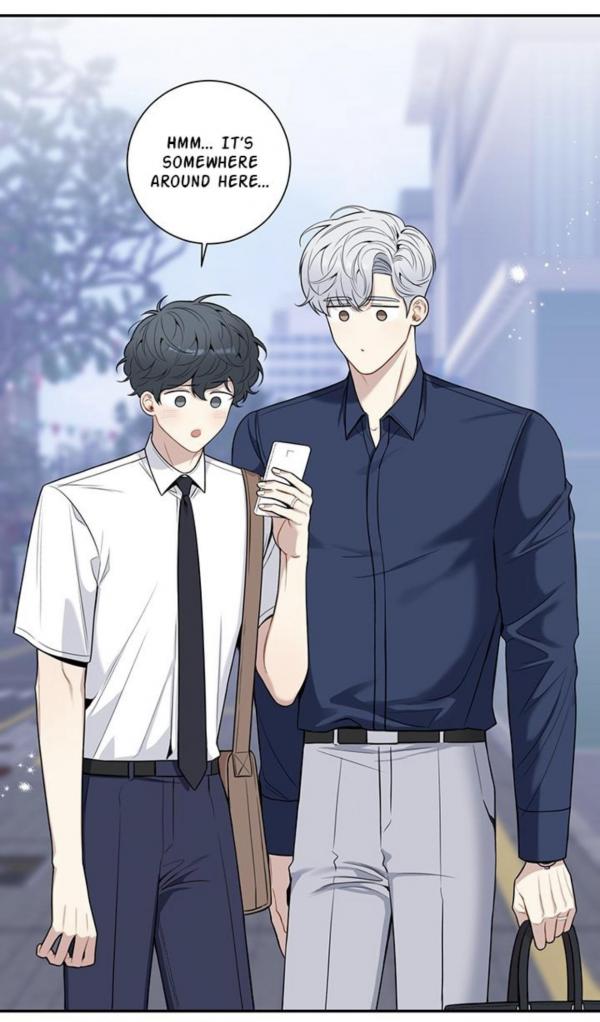 Cherry Blossoms After Winter Photo Mangago