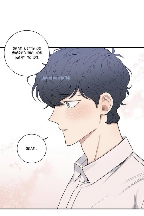 cherry blossoms after winter photo 19259221 Mangago