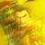 Dynasty Warriors 3 Remastered