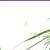 phaitful_bl_reader