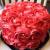 Rose Cakes