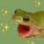 frogs are gay icon