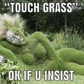 Go Touch Some Grass” Meaning